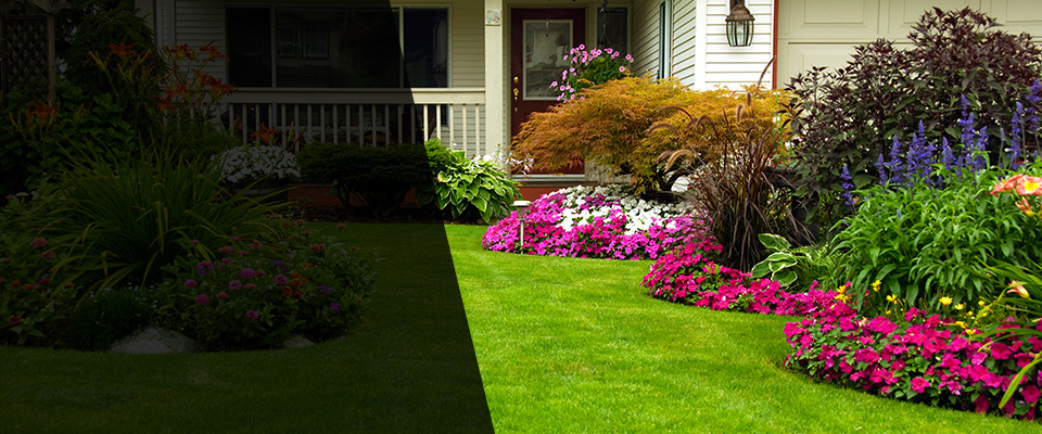 Hamtramck Landscapers