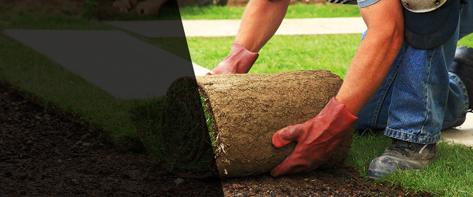 Hamtramck Landscapers